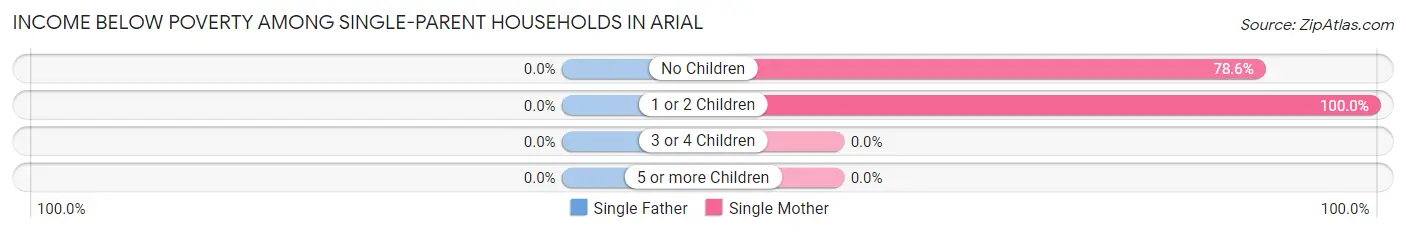 Income Below Poverty Among Single-Parent Households in Arial