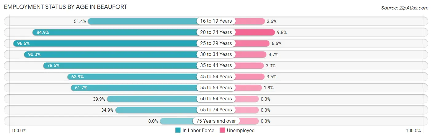 Employment Status by Age in Beaufort