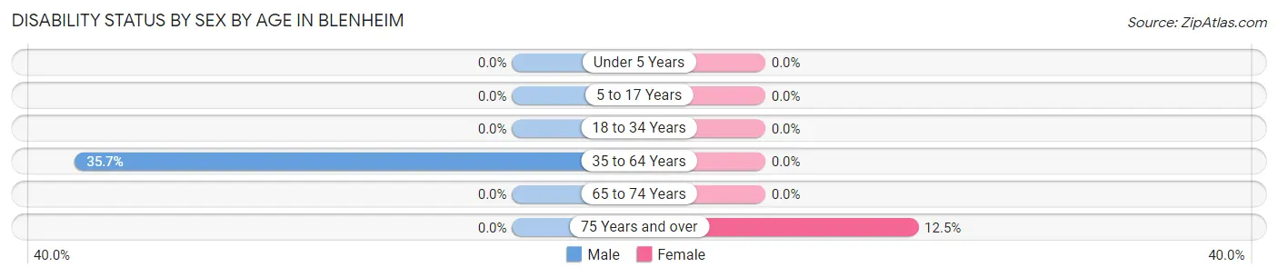 Disability Status by Sex by Age in Blenheim