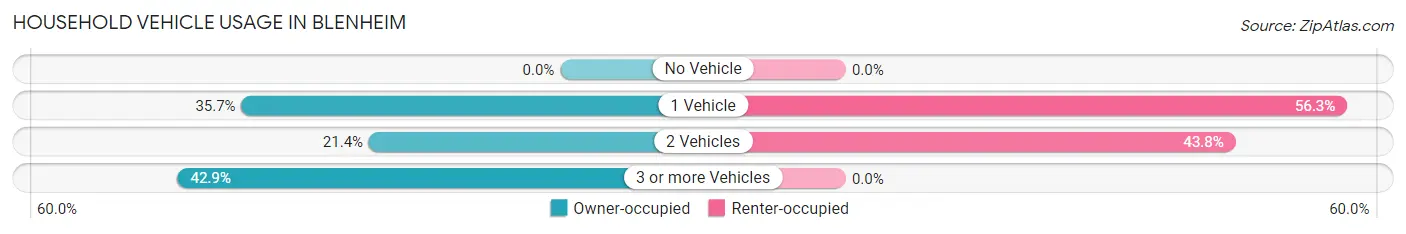 Household Vehicle Usage in Blenheim