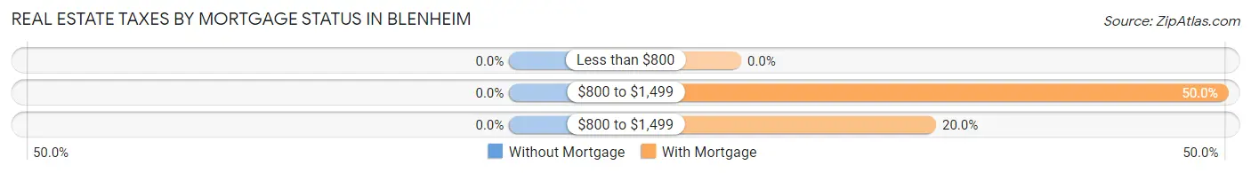 Real Estate Taxes by Mortgage Status in Blenheim