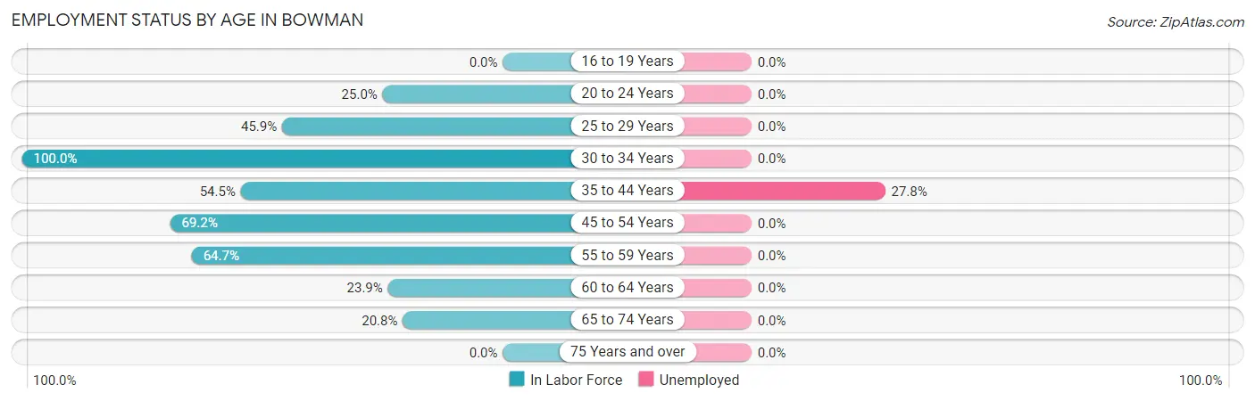 Employment Status by Age in Bowman