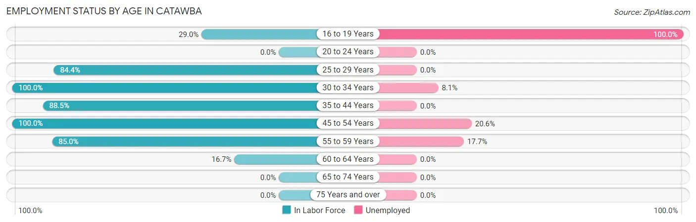 Employment Status by Age in Catawba