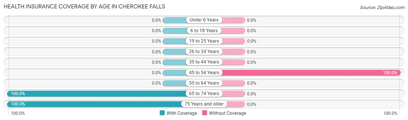 Health Insurance Coverage by Age in Cherokee Falls