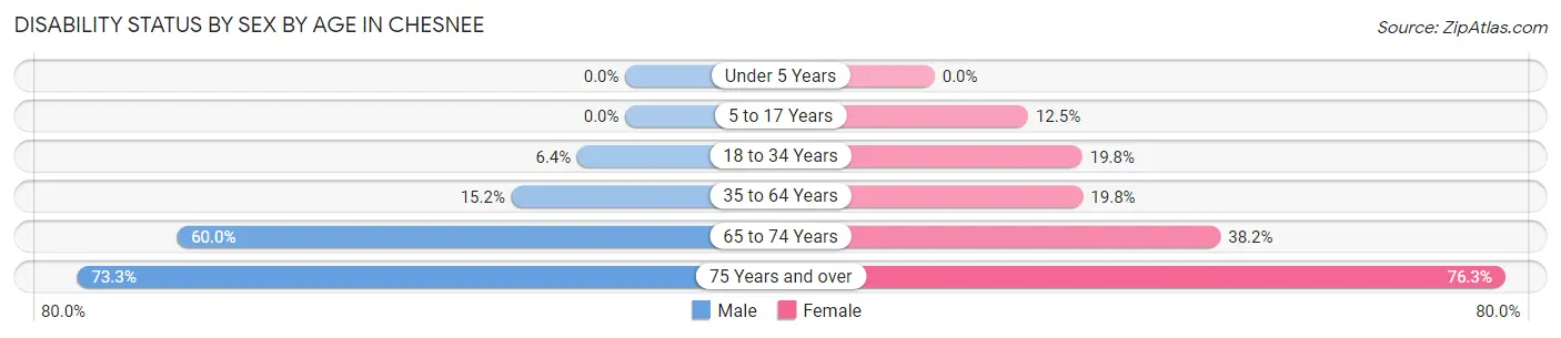 Disability Status by Sex by Age in Chesnee
