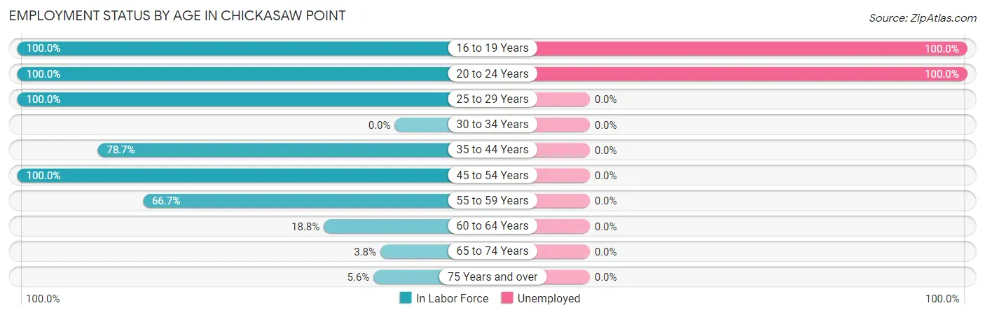 Employment Status by Age in Chickasaw Point
