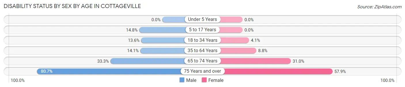 Disability Status by Sex by Age in Cottageville