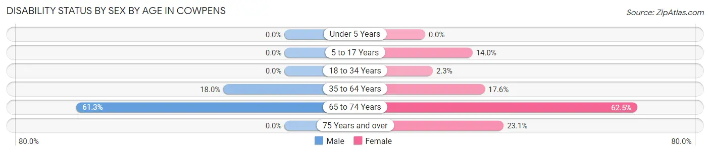 Disability Status by Sex by Age in Cowpens
