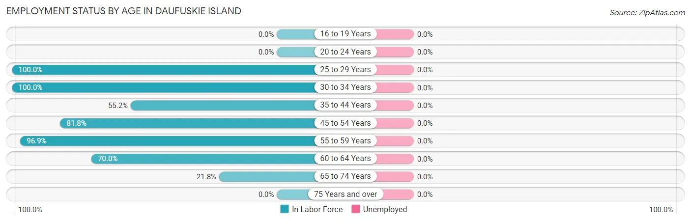 Employment Status by Age in Daufuskie Island