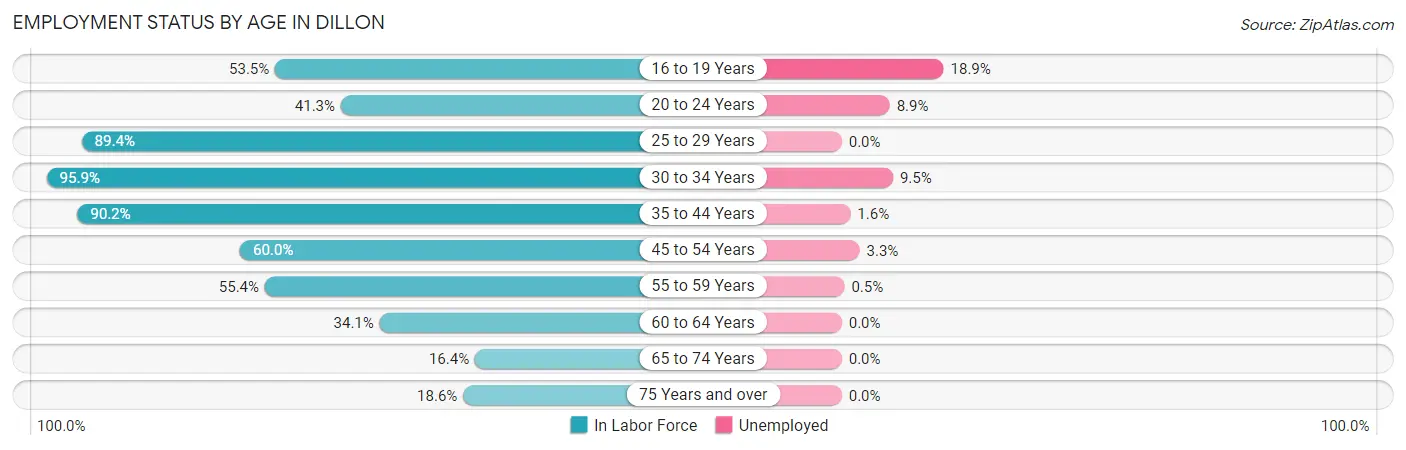 Employment Status by Age in Dillon
