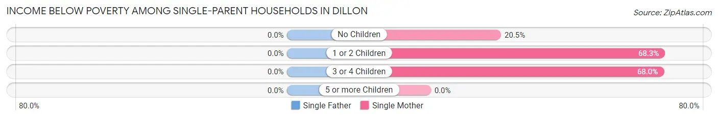 Income Below Poverty Among Single-Parent Households in Dillon