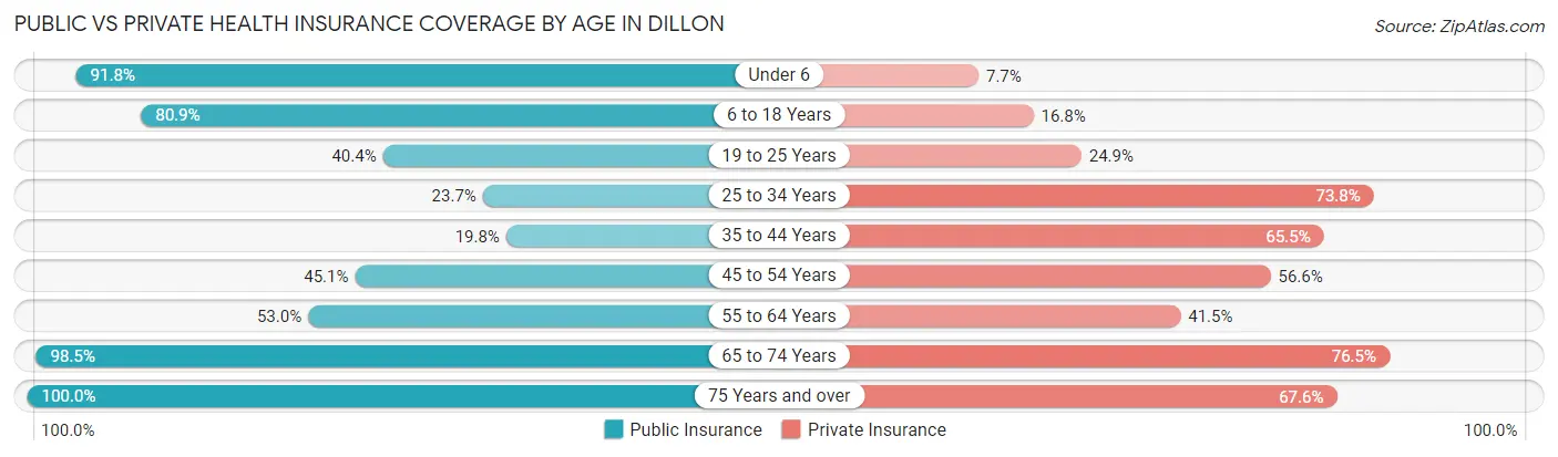 Public vs Private Health Insurance Coverage by Age in Dillon