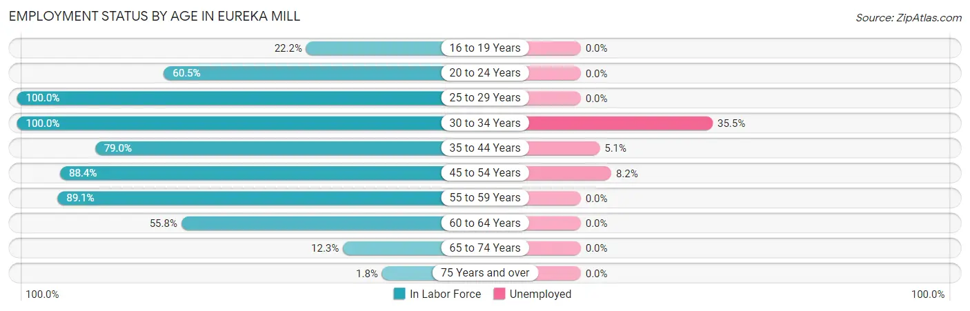 Employment Status by Age in Eureka Mill