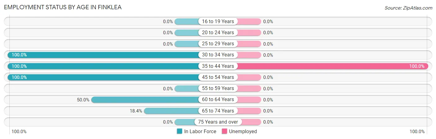 Employment Status by Age in Finklea
