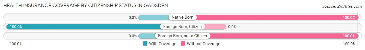 Health Insurance Coverage by Citizenship Status in Gadsden