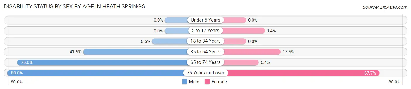 Disability Status by Sex by Age in Heath Springs