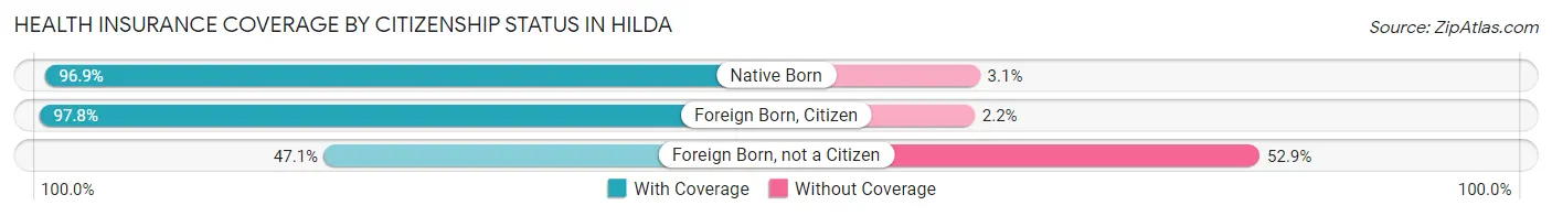 Health Insurance Coverage by Citizenship Status in Hilda