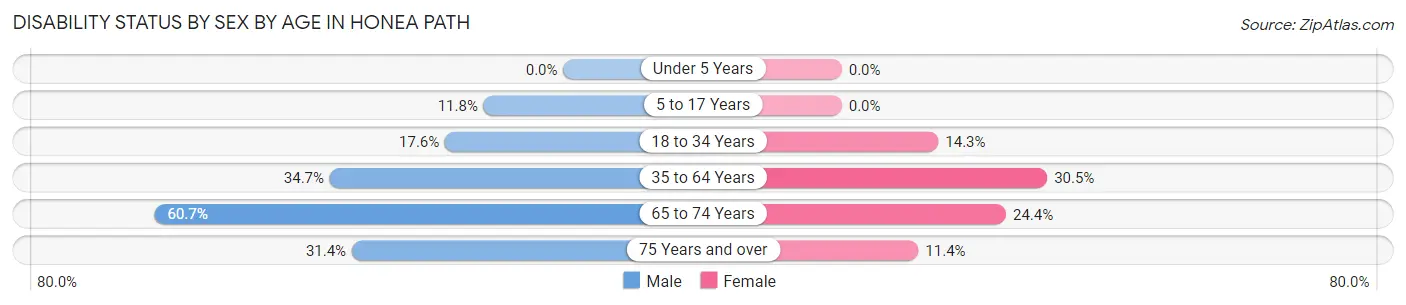 Disability Status by Sex by Age in Honea Path