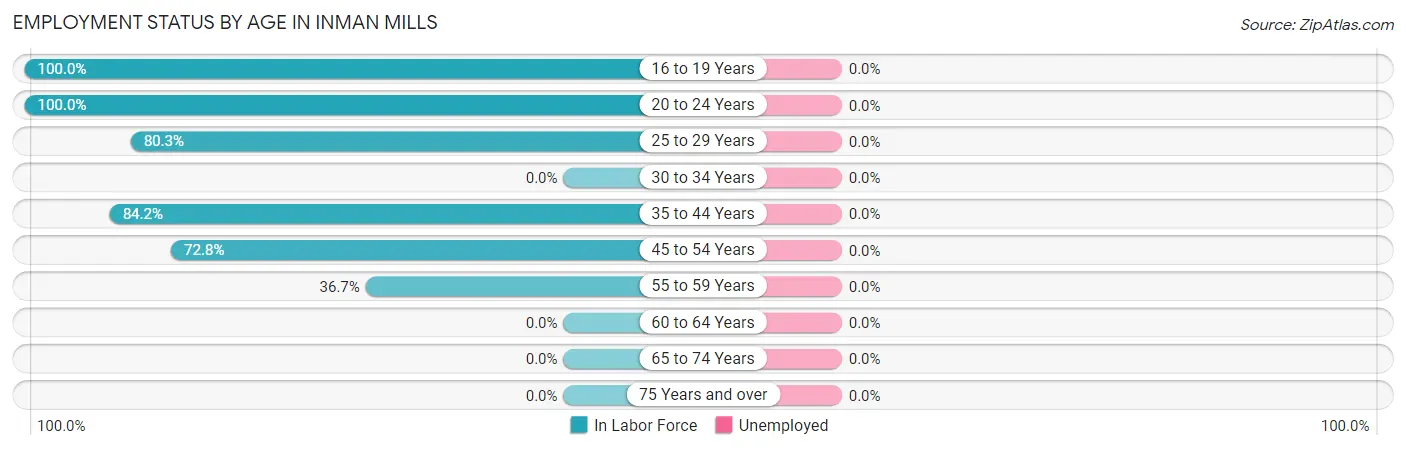 Employment Status by Age in Inman Mills