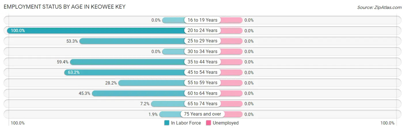 Employment Status by Age in Keowee Key