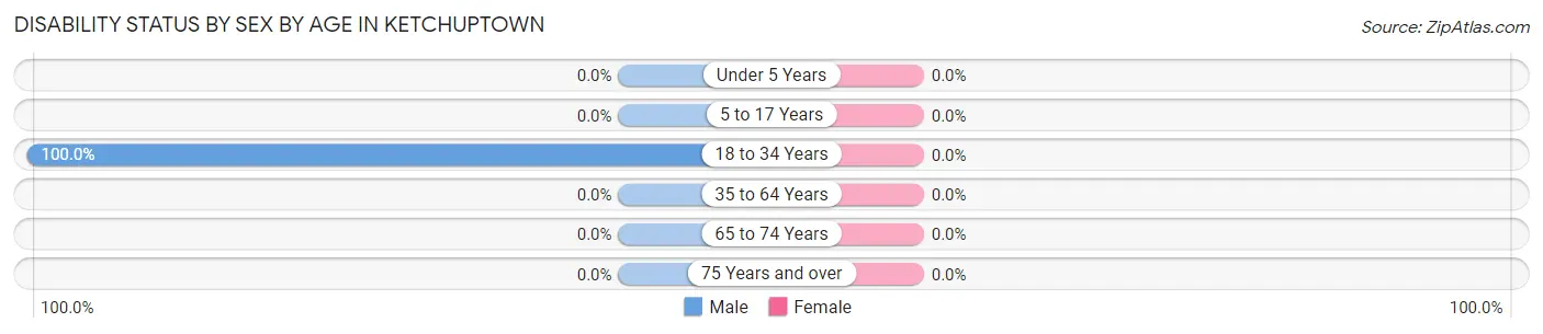 Disability Status by Sex by Age in Ketchuptown