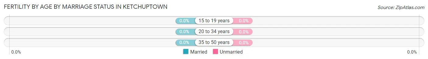 Female Fertility by Age by Marriage Status in Ketchuptown