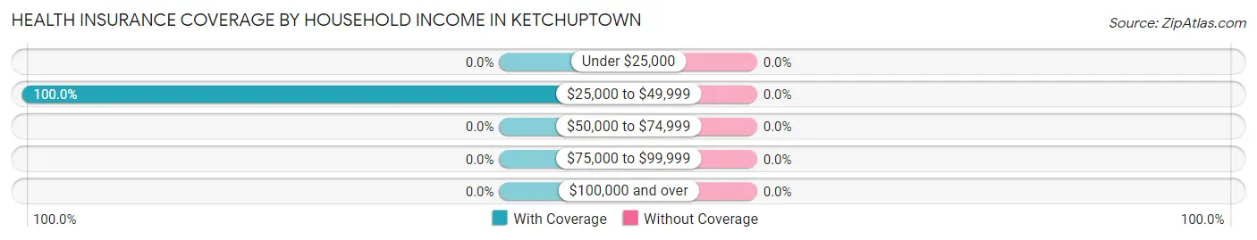 Health Insurance Coverage by Household Income in Ketchuptown