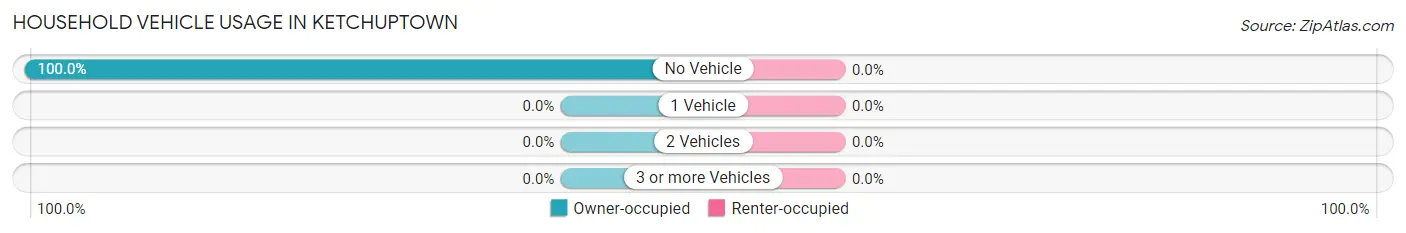 Household Vehicle Usage in Ketchuptown