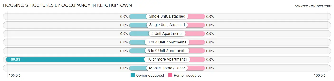 Housing Structures by Occupancy in Ketchuptown