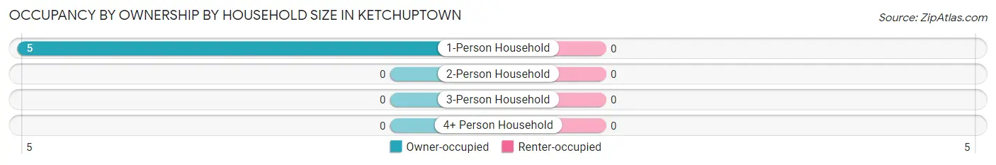 Occupancy by Ownership by Household Size in Ketchuptown