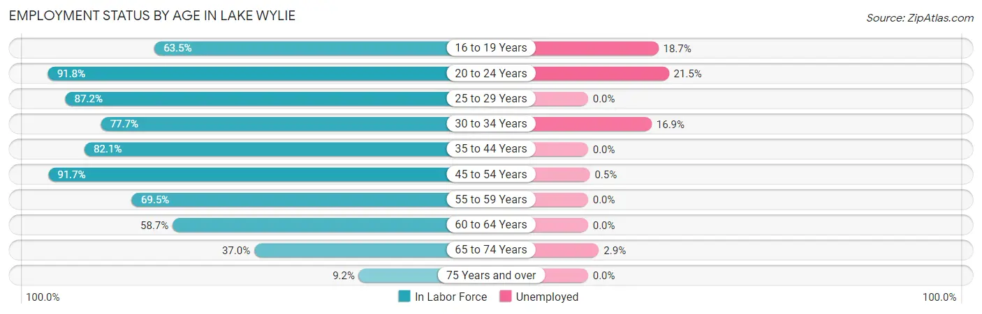 Employment Status by Age in Lake Wylie
