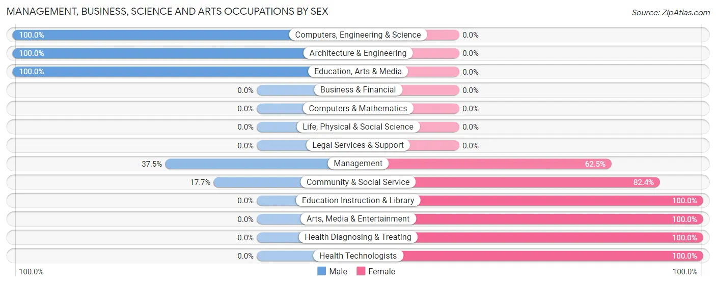 Management, Business, Science and Arts Occupations by Sex in McBee