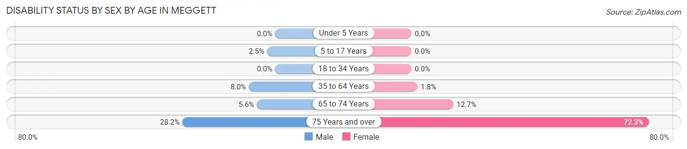 Disability Status by Sex by Age in Meggett