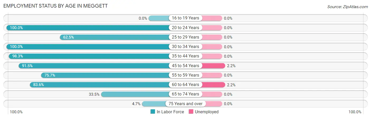 Employment Status by Age in Meggett