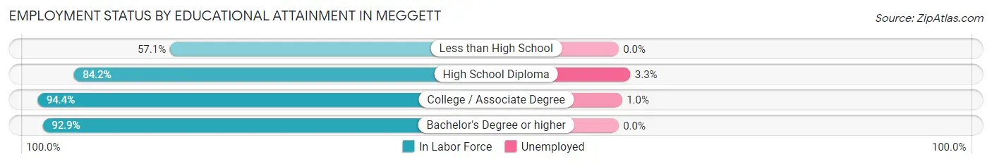 Employment Status by Educational Attainment in Meggett