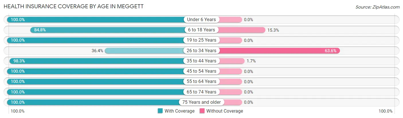 Health Insurance Coverage by Age in Meggett