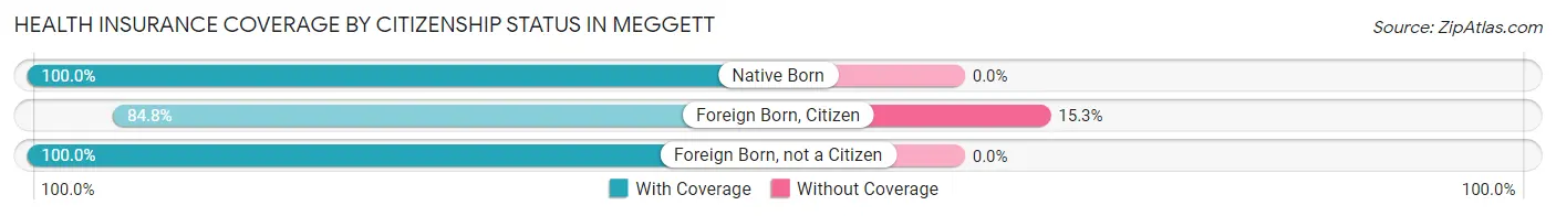 Health Insurance Coverage by Citizenship Status in Meggett