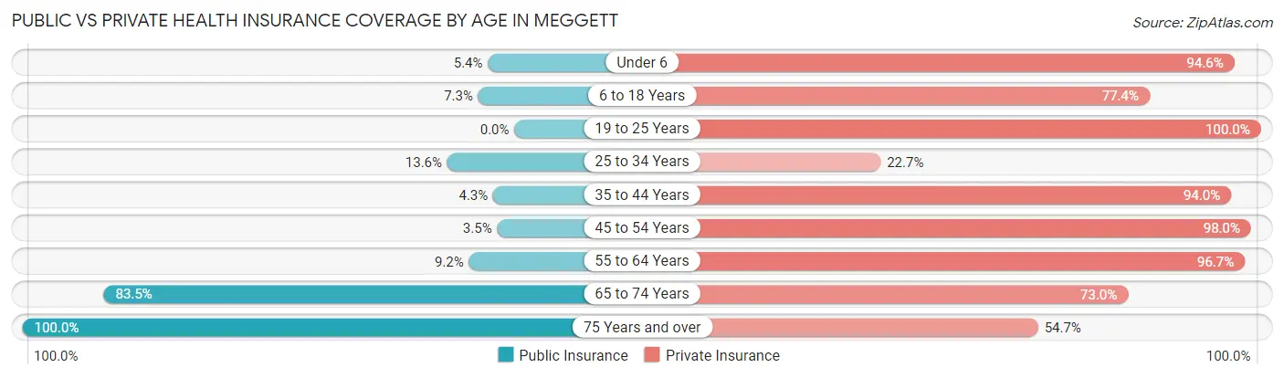 Public vs Private Health Insurance Coverage by Age in Meggett