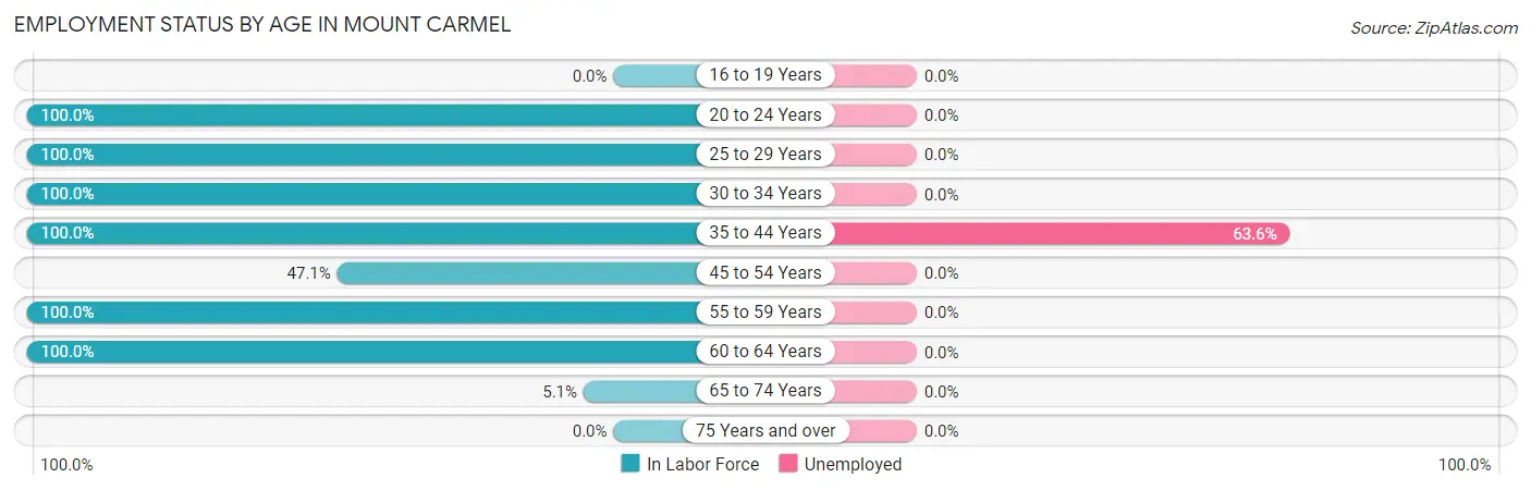 Employment Status by Age in Mount Carmel