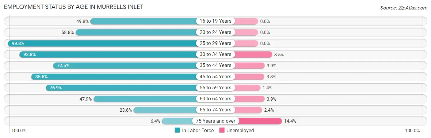 Employment Status by Age in Murrells Inlet