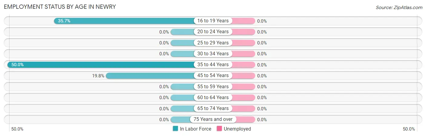 Employment Status by Age in Newry