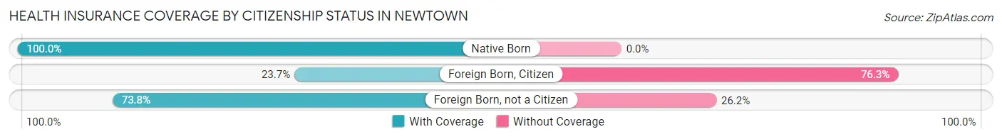 Health Insurance Coverage by Citizenship Status in Newtown