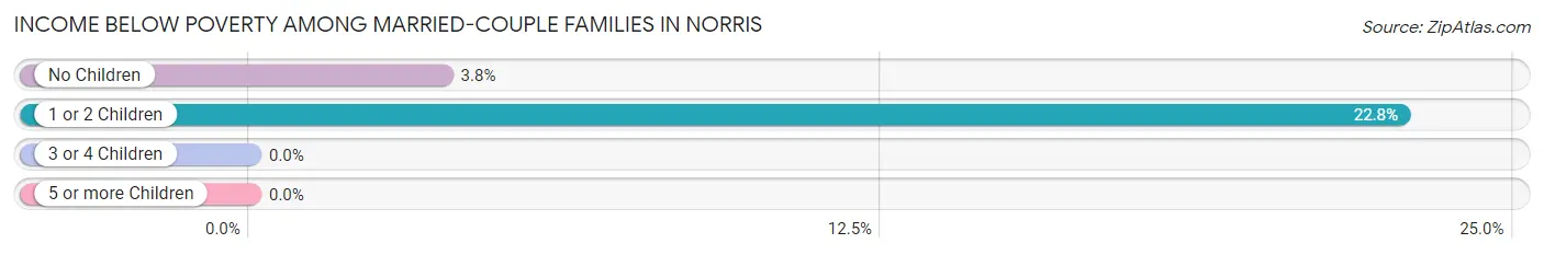 Income Below Poverty Among Married-Couple Families in Norris
