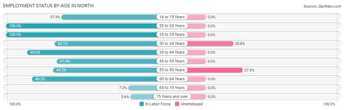 Employment Status by Age in North
