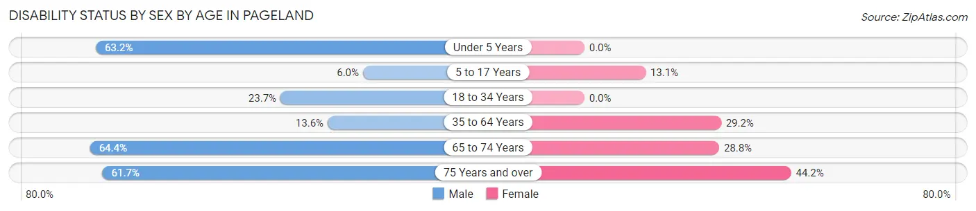 Disability Status by Sex by Age in Pageland