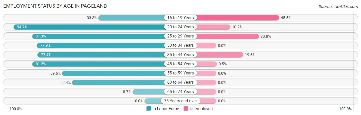 Employment Status by Age in Pageland