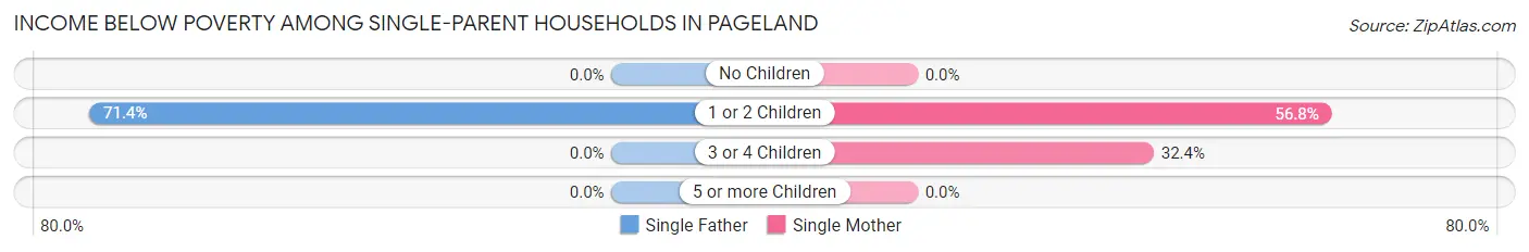Income Below Poverty Among Single-Parent Households in Pageland