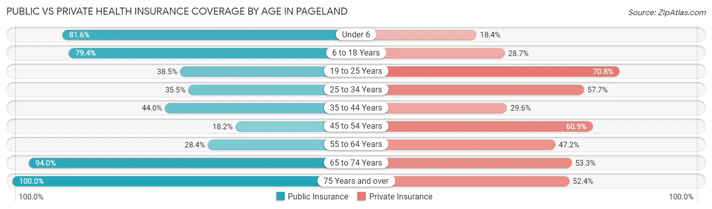 Public vs Private Health Insurance Coverage by Age in Pageland