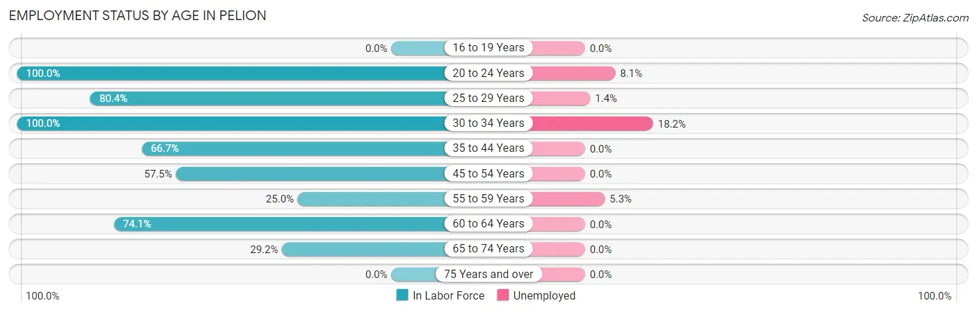 Employment Status by Age in Pelion