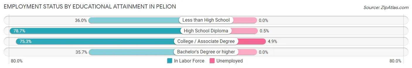 Employment Status by Educational Attainment in Pelion